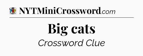 Big cats Crossword Clue