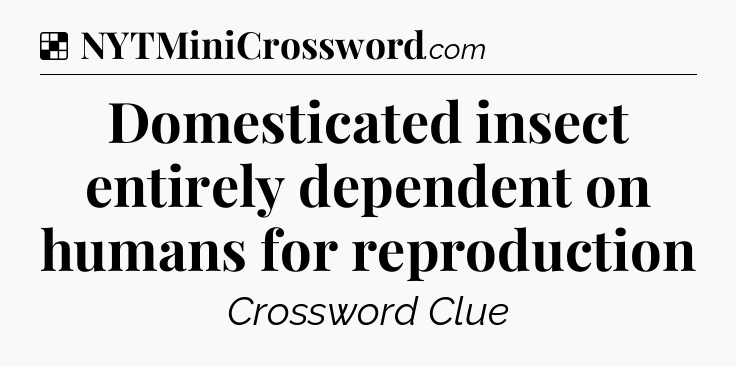 Solution: Domesticated insect entirely dependent on humans for reproduction - NYT Crossword