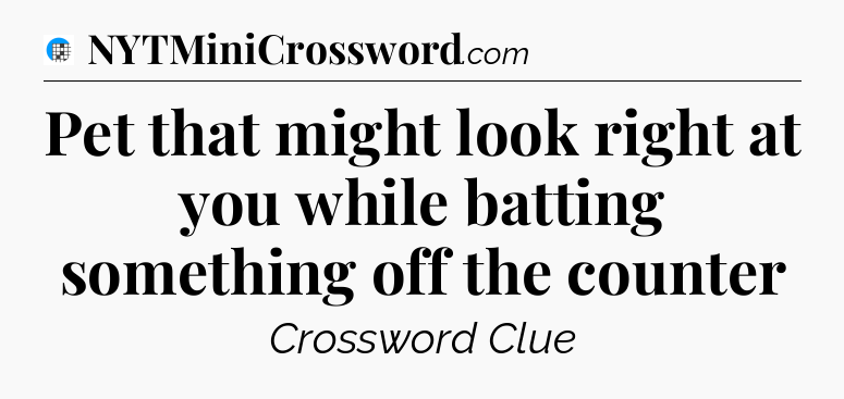 Pet that might look right at you while batting something off the counter Crossword Clue