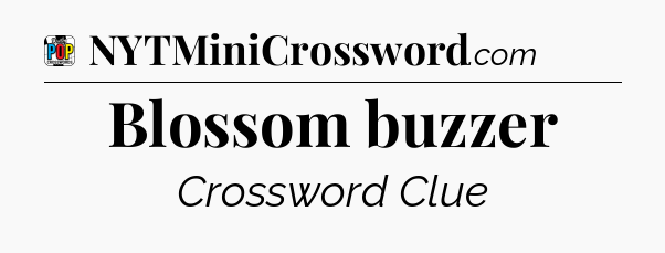 Blossom buzzer Crossword Clue
