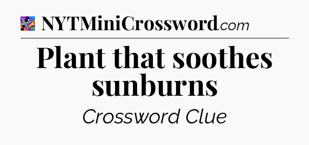 Plant that soothes sunburns Crossword Clue