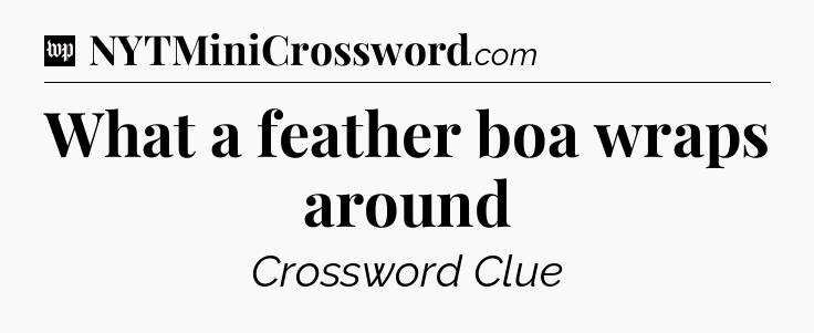 What a feather boa wraps around Crossword Clue