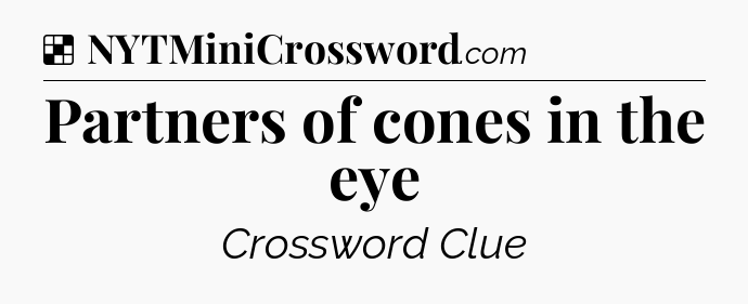 Solution: Partners of cones in the eye - NYT Crossword