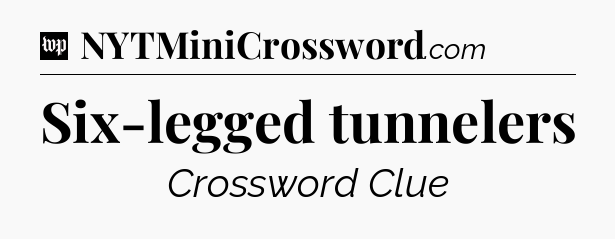 Six-legged tunnelers Crossword Clue