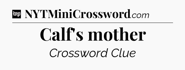 Calf's mother Crossword Clue
