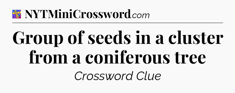 Group of seeds in a cluster from a coniferous tree Codycross