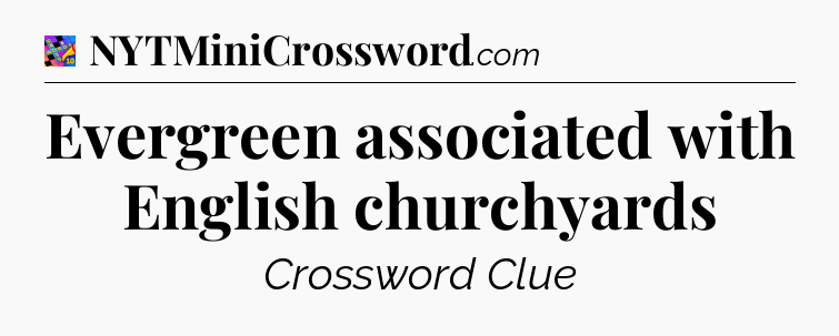 Evergreen associated with English churchyards Crossword Clue