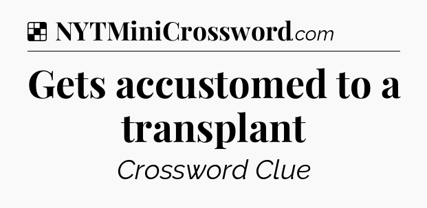 Solution: Gets accustomed to a transplant - NYT Crossword