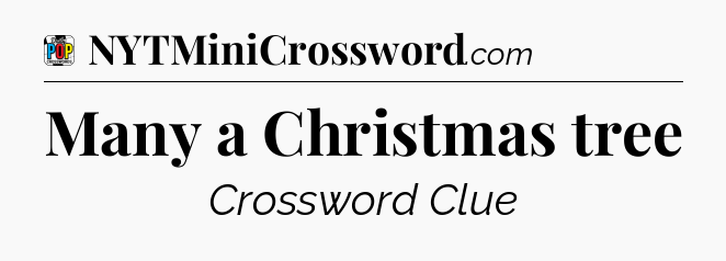 Many a Christmas tree Crossword Clue