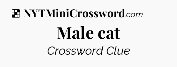 Solution: Male cat - NYT Crossword
