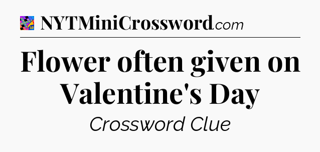 Flower often given on Valentine's Day Crossword Clue