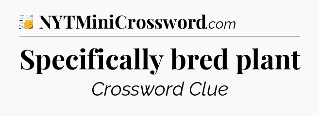 Specifically bred plant - 7 Little Words