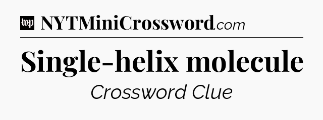 Single-helix molecule Crossword Clue