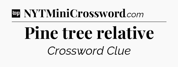 Pine tree relative Crossword Clue