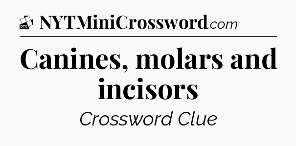 Canines, molars and incisors - Daily Themed Mini Crossword