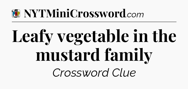Leafy vegetable in the mustard family Crossword Clue