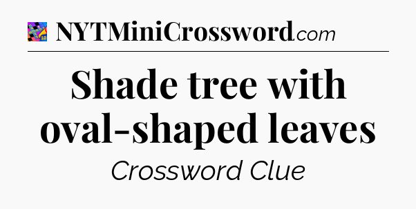 Shade tree with oval-shaped leaves Crossword Clue