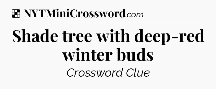 Solution: Shade tree with deep-red winter buds - NYT Crossword
