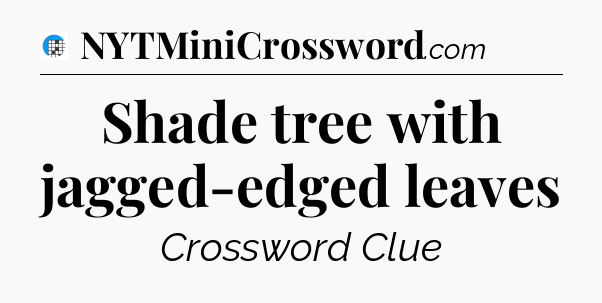 Shade tree with jagged-edged leaves Crossword Clue