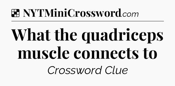 Solution: What the quadriceps muscle connects to - NYT Crossword