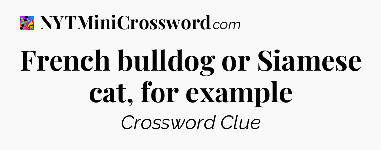 French bulldog or Siamese cat, for example Crossword Clue