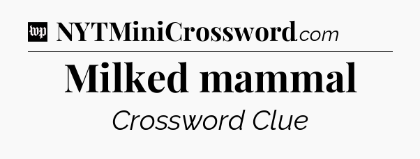 Milked mammal Crossword Clue