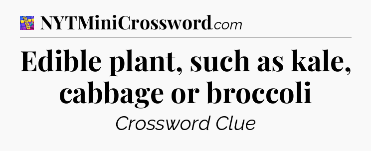Edible plant, such as kale, cabbage or broccoli Codycross