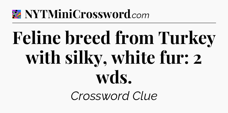 Feline breed from Turkey with silky, white fur: 2 wds Crossword Clue