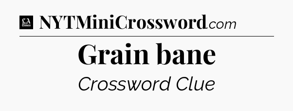Grain bane - LA Times Crossword