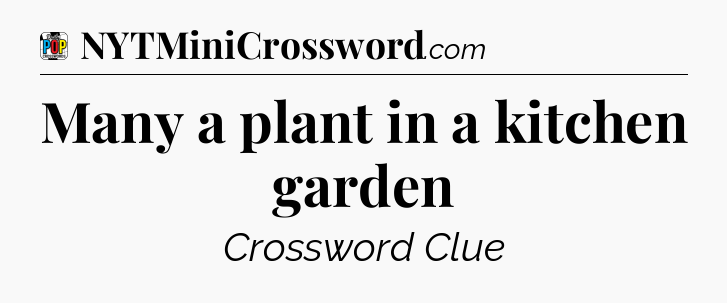 Many a plant in a kitchen garden Crossword Clue