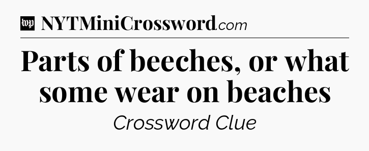 Parts of beeches, or what some wear on beaches Crossword Clue