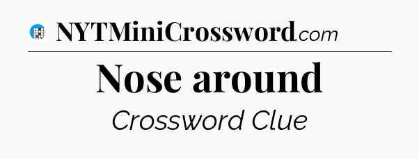 Nose around Crossword Clue
