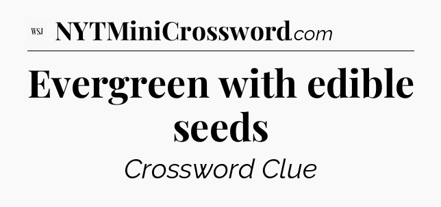 Evergreen with edible seeds - WSJ Crossword