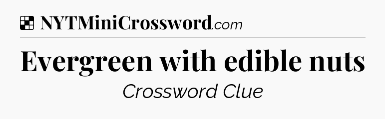 Solution: Evergreen with edible nuts - NYT Crossword