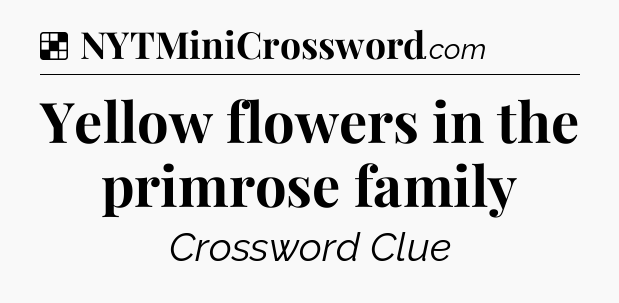 Solution: Yellow flowers in the primrose family - NYT Crossword
