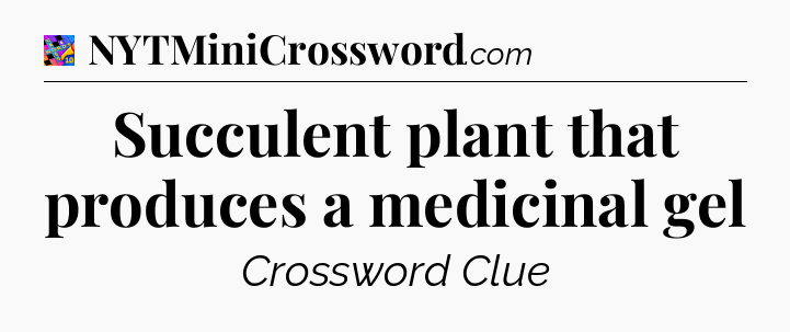 Succulent plant that produces a medicinal gel Crossword Clue