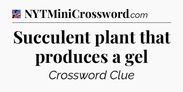 Succulent plant that produces a gel Crossword Clue
