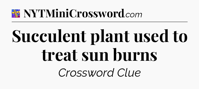Succulent plant used to treat sun burns Codycross