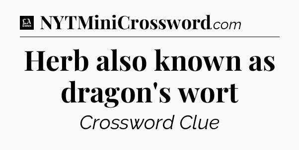 Herb also known as dragon's wort - LA Times Crossword