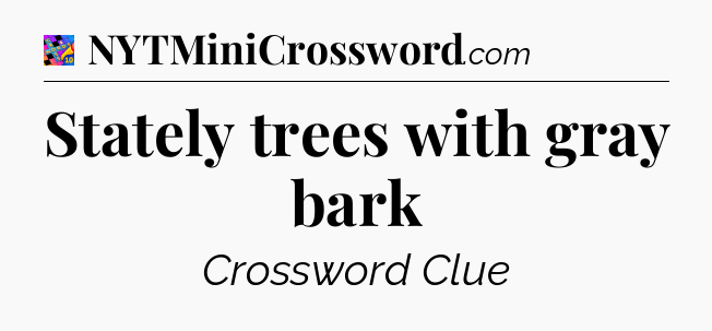 Stately trees with gray bark Crossword Clue