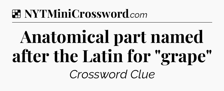 Solution: Anatomical part named after the Latin for 