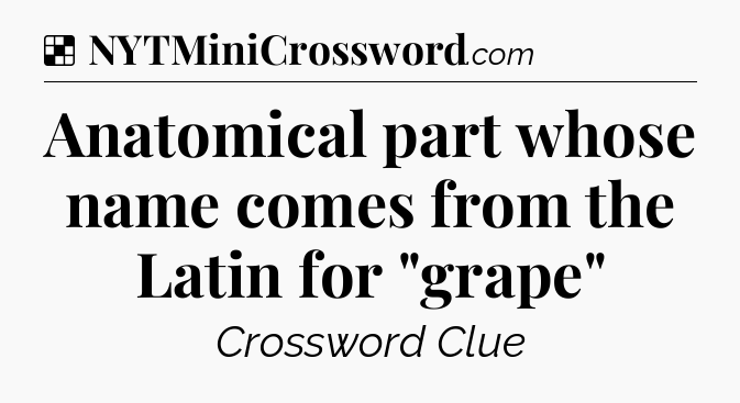 Solution: Anatomical part whose name comes from the Latin for 