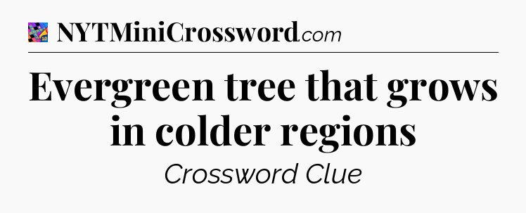 Evergreen tree that grows in colder regions Crossword Clue