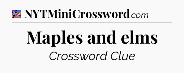 Maples and elms Crossword Clue