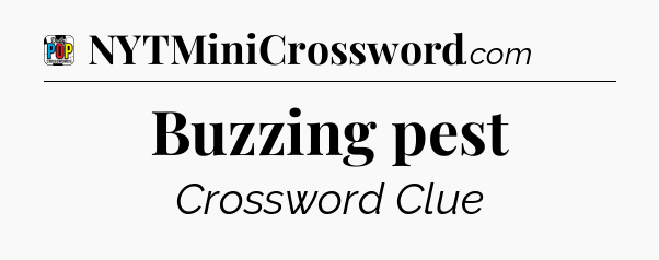 Buzzing pest Crossword Clue