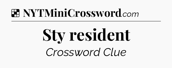 Solution: Sty resident - NYT Crossword