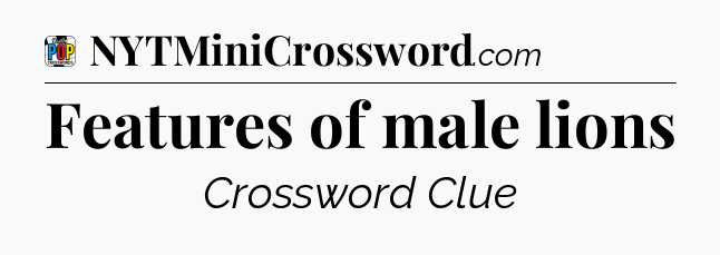 Features of male lions Crossword Clue