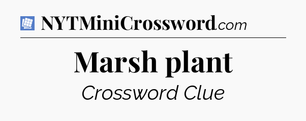 Marsh plant Puzzle Page Crossword Clue