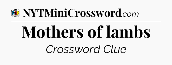 Mothers of lambs Crossword Clue