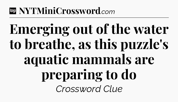 Emerging out of the water to breathe, as this puzzle's aquatic mammals are preparing to do Crossword Clue